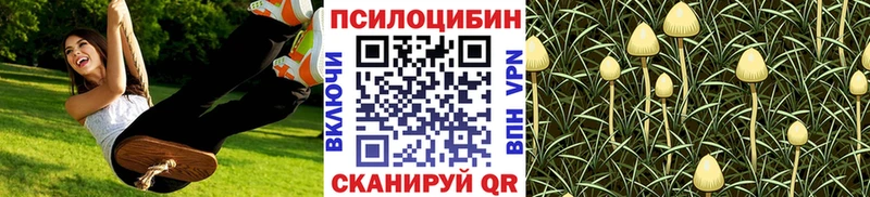 Псилоцибиновые грибы Psilocybe Ворсма